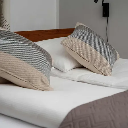 Apartman Functional In Downtown By Renters *